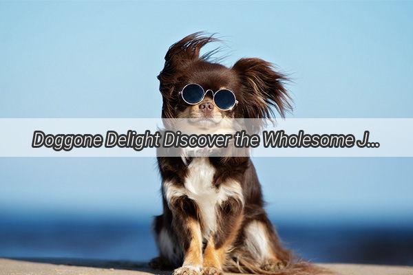 Doggone Delight Discover the Wholesome Joys of Chicken Breast for Your Furry Friend